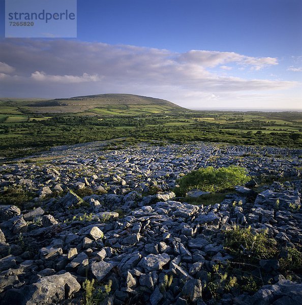 Europa  Clare County  Burren