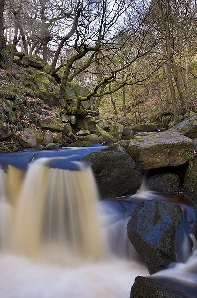 Europa  Großbritannien  Schlucht  Derbyshire  Ortsteil  England