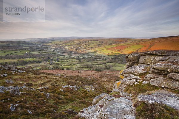 Europa  sehen  Großbritannien  Devon  England  Moor