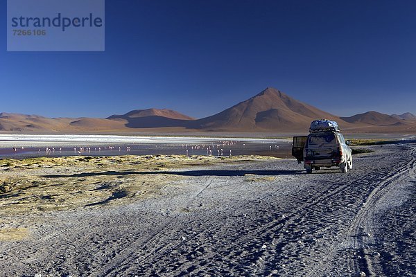 See  seicht  Süden  Tier  Anden  Naturschutzgebiet  Bolivien  Speisesalz  Salz  Südamerika