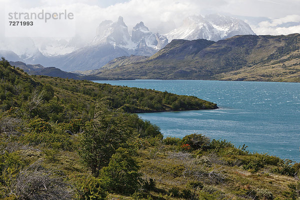 Blick auf die Granitberge Cuernos del Paine im Nationalpark Torres del Paine vom Ufer des Gletschersees Lago del Toro  Thyndal  Region Magallanes Antartica  Patagonien  Chile  Südamerika  Lateinamerika  Amerika