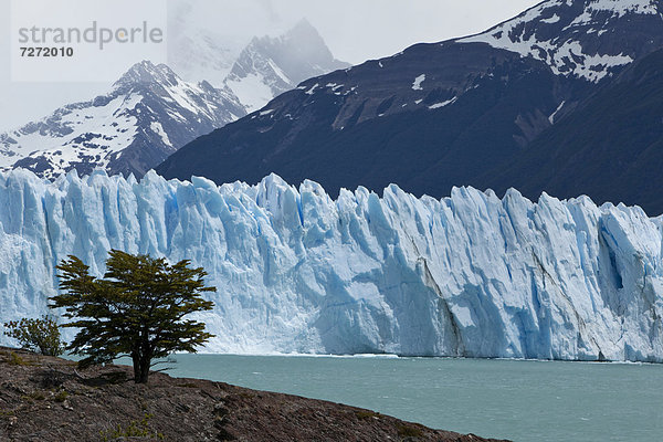 Gletschereis des Perito Moreno Gletschers  Lago Argentino  Region Santa Cruz  Patagonien  Argentinien  Südamerika  Lateinamerika  Amerika