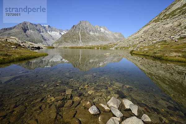 Aleschhorn und Olmenhorn spiegeln sich in kleinem Bergsee  Fiesch  Wallis  Schweiz  Europa
