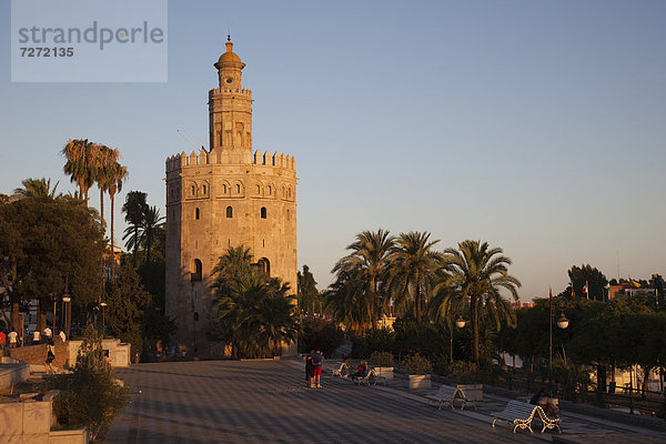 Torre del Oro  Sevilla  Andalusien  Spanien  Europa