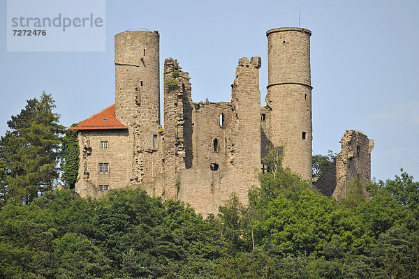 Ruine Burg Hanstein  bei Bornhagen  Thüringen  Deutschland  Europa