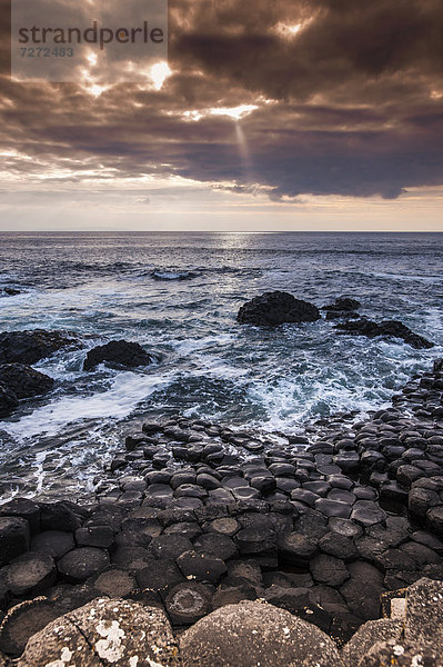 Basaltfelsen an der Atlantikküste  Giant's Causeway  Coleraine  Nordirland  Großbritannien  Europa