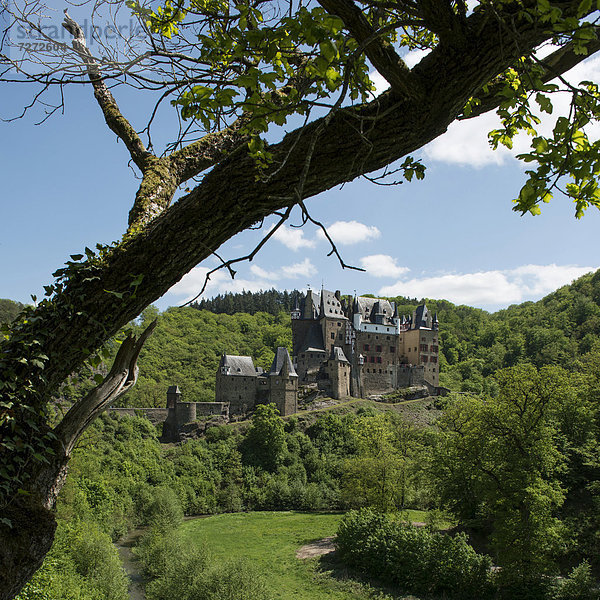 Burg Eltz im Tal der Elz  Ganerbenburg  geschütztes Kulturgut nach Haager Konvention  Wierschem  Rheinland-Pfalz  Deutschland  Europa