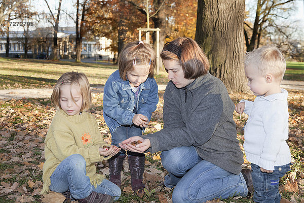 Drei Kinder sammeln mit ihrer Mutter Eicheln im Park