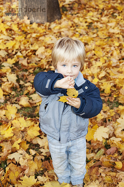 Dreijähriger Junge mit einem Herbstblatt in der Hand