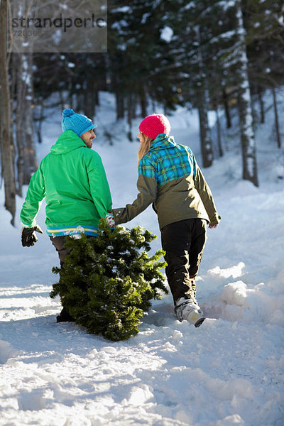 Paar zieht Weihnachtsbaum durch den Schnee