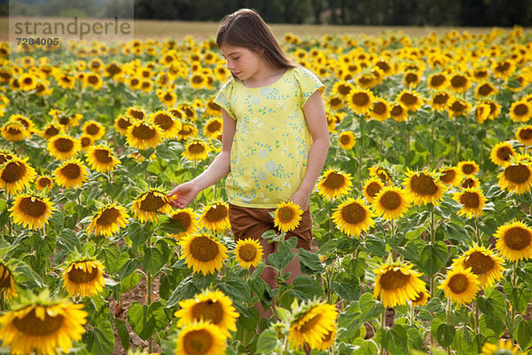 Mädchen im Feld mit Sonnenblumen