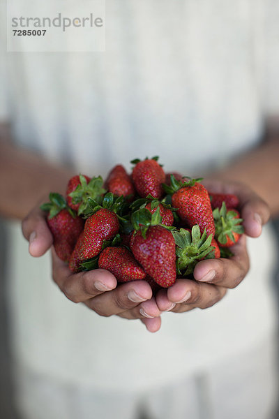 Nahaufnahme der Hände mit Erdbeeren