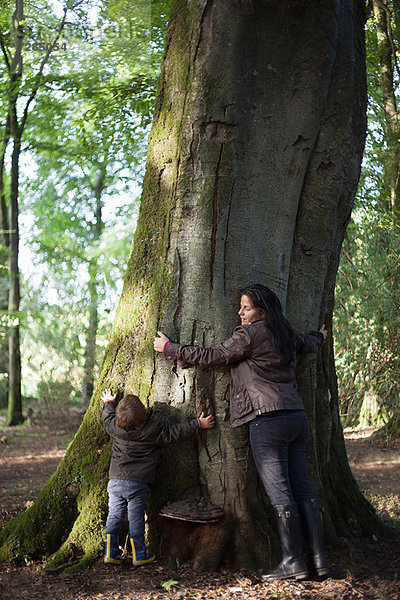 Mutter und Sohn umarmen Baum im Wald