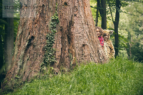 Kinder spielen zusammen im Wald