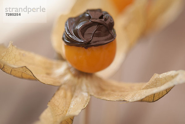 Schokolade auf Blumenfrüchten