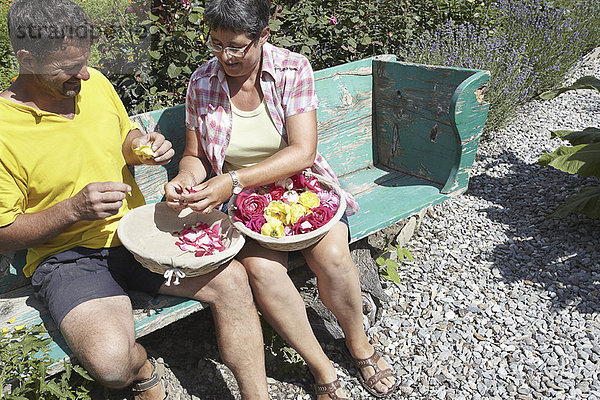 Paare pflücken Blütenblätter von Blumen