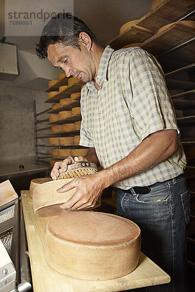 Worker Finishing Rad von Käse in der Werkstatt
