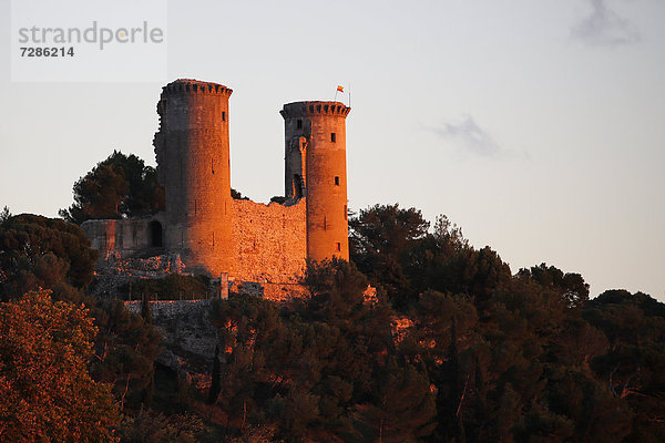 Schlossruine von Châteaurenard  Provence  Frankreich