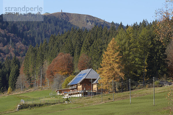 Wohnhaus unterhalb Wald schwarz Deutschland