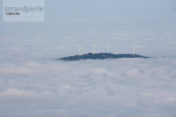 Windturbine Windrad Windräder Wald schwarz Nebel Deutschland