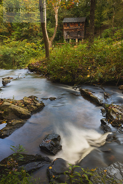 Meytre Grist Mill  Stream in forest