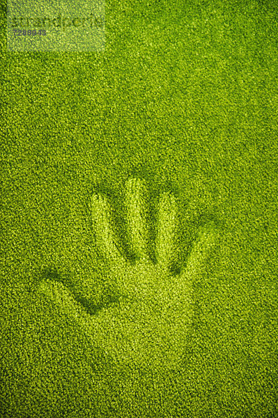 Handabdruck auf einem grünen Teppich