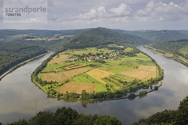 Saarschleife Hamm bei Serrig  Saarburg  Saarland  Deutschland  Europa