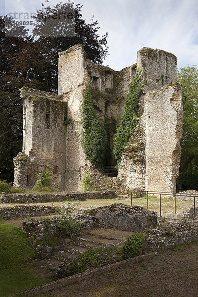 Die mittelalterliche Ruine Bishop's Waltham Palace  Hampshire  England  Großbritannien  Europa