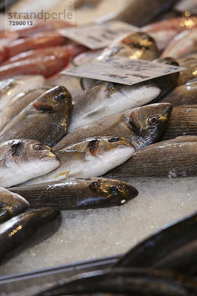 Frischer Fisch auf einem Markt