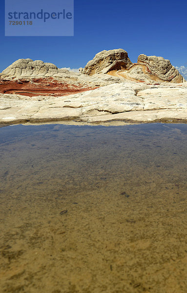 Brain Rocks der White Pocket  erodierte Navajo-Sandsteinfelsen mit Liesegang Bands  auch Liesegangen Rings oder Liesegang Rings  Pareah Paria Plateau  Vermillion Cliffs National Monument  Arizona  Utah  Südwesten  Vereinigte Staaten von Amerika  USA