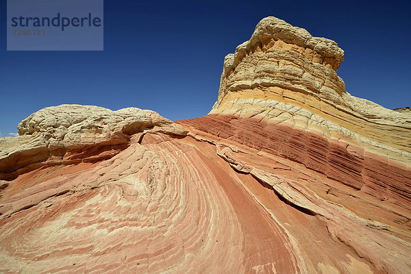 Lollipop Rock  Brain Rocks der White Pocket  erodierte Navajo-Sandsteinfelsen mit Liesegang Bands  auch Liesegangen Rings oder Liesegang Rings  Pareah Paria Plateau  Vermillion Cliffs National Monument  Arizona  Utah  Südwesten  Vereinigte Staaten von Amerika  USA