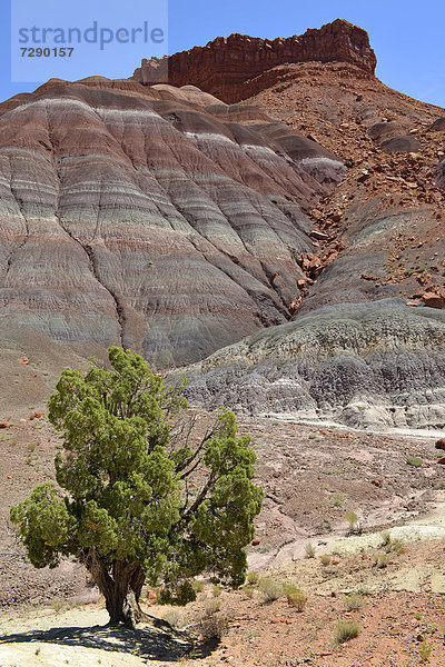 Old Paria Pahreah Town Site  Movie Set  Painted Desert  Vermilion Cliffs  verschiedene Gesteinsschichten der Rimrocks  Rimrocks  Grand Staircase-Escalante National Monument  GSENM  Utah  Südwesten  Vereinigte Staaten von Amerika  USA