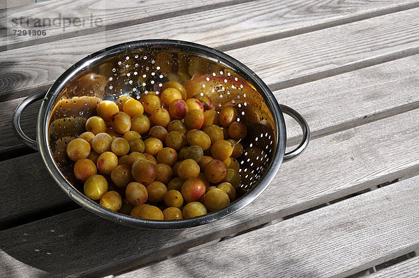 Germany  Baden Wuerttemberg  Yellow plums in colander on wooden table