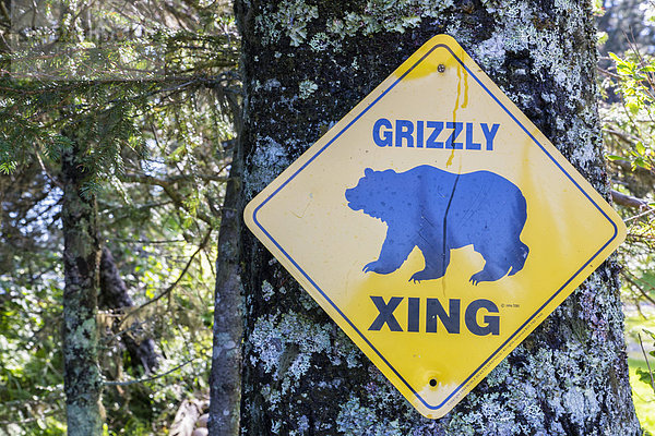 USA  Alaska  Grizzly Xing Schild auf Baumstamm im Lake Clark National Park und Preserve