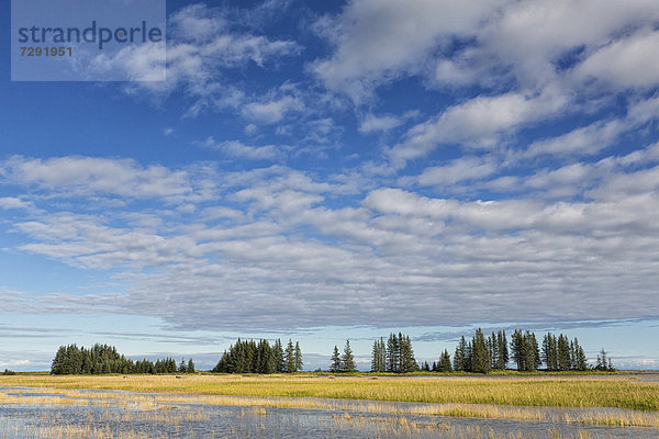 USA  Alaska  Blick auf Lake Clark National Park und Preserve