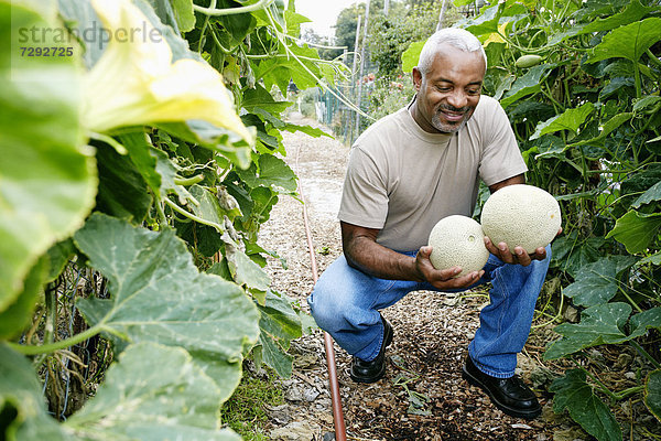 Mann halten schwarz Melone Gemeinschaftsgarten