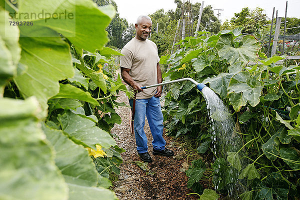 Wasser Mann Pflanze schwarz Gemeinschaftsgarten