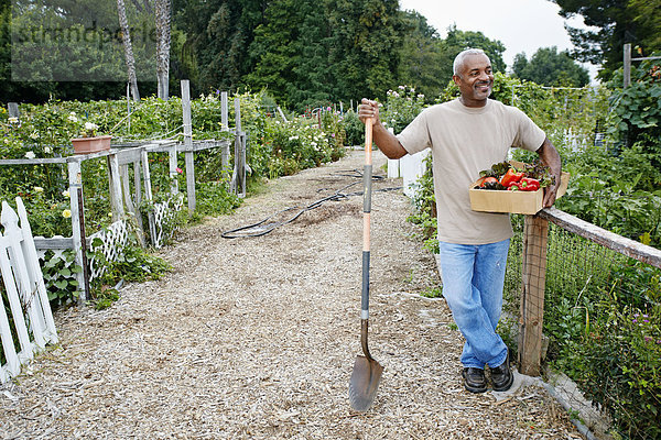 Mann geselliges Beisammensein Gemüse schwarz Gemeinschaftsgarten