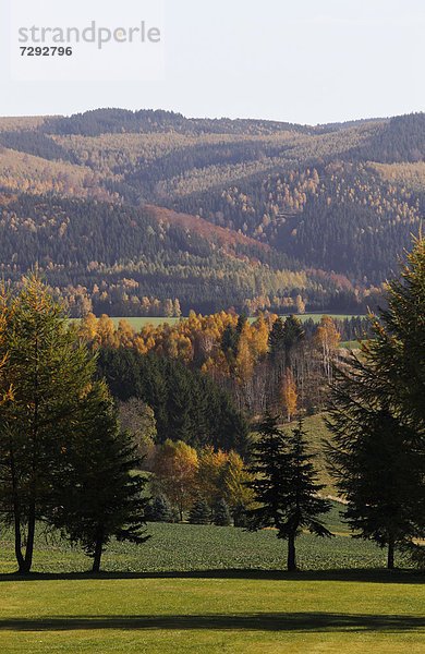 Germany  Saxony  View of landscape with autumn trees