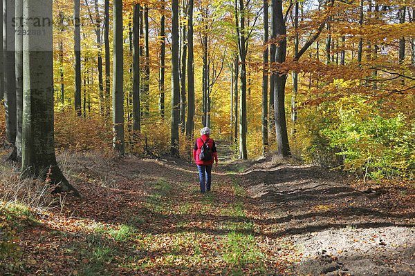 Mature woman walking in beech forest