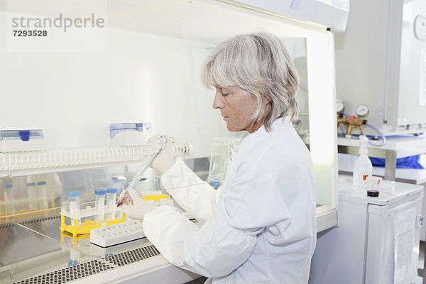 Deutschland  Bayern  München  Wissenschaftler bei der Blutforschung im Labor