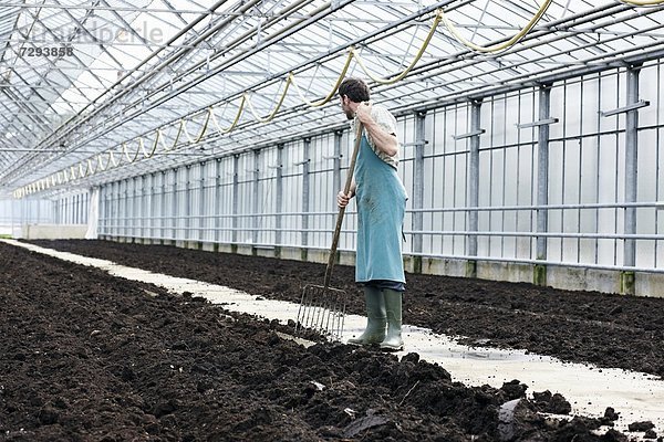 Ausgereifter Mann grabt Erde mit Gartengabel im Gewächshaus