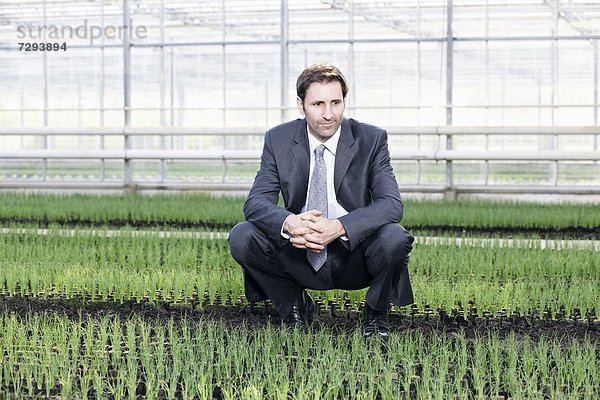 Mature man in greenhouse between seedlings