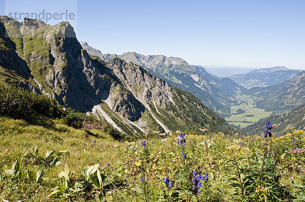Germany  Bavaria  View of alpine meadow