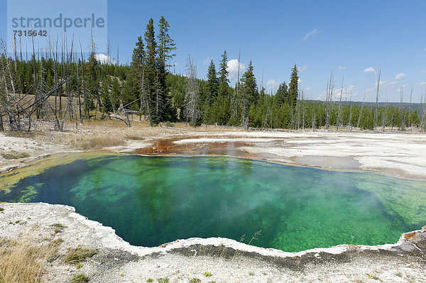 Heiße Quelle  grünes Wasser  Abyss Pool  West Thumb Geyser Basin  Yellowstone Nationalpark  Wyoming  Westen der USA  Vereinigte Staten von Amerika  Nordamerika