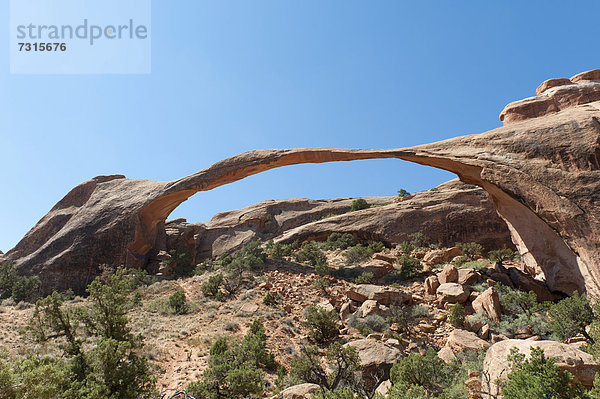 Roter Sandstein  fragiler Natur-Steinbogen  Landscape Arch  Arches-Nationalpark  Utah  Westen der USA  Vereinigte Staten von Amerika  Nordamerika