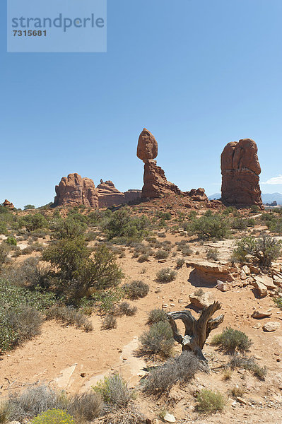 Roter Sandstein  Balance  wackeliger Felsen  Balanced Rock  Arches-Nationalpark  Utah  Westen der USA  Vereinigte Staten von Amerika  Nordamerika