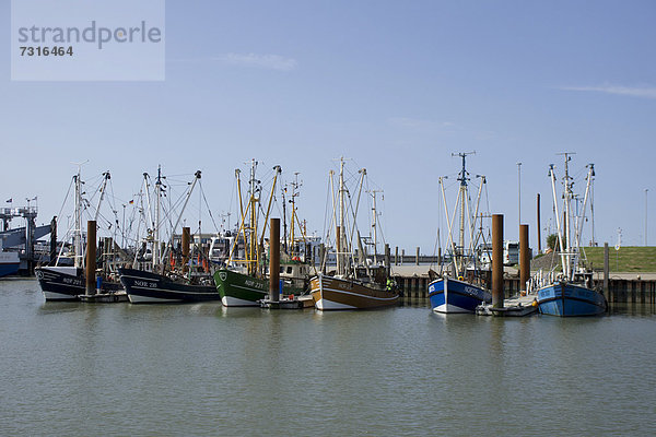 Krabbenkutter  Hafen  Norddeich  Norden  Ostfriesland  Niedersachsen  Deutschland  Europa