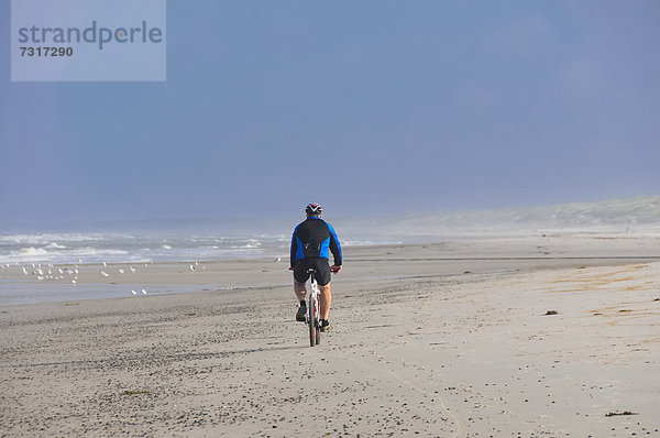 Fahrradfahrer am Strand  Westjütland  Dänemark  Europa