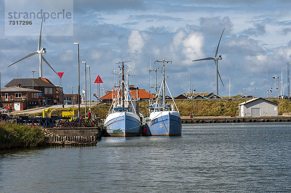 Fischkutter im Hafen von Hvide Sande  Westjütland  Dänemark  Europa